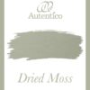 Autentico Dried Moss Chalk Paint